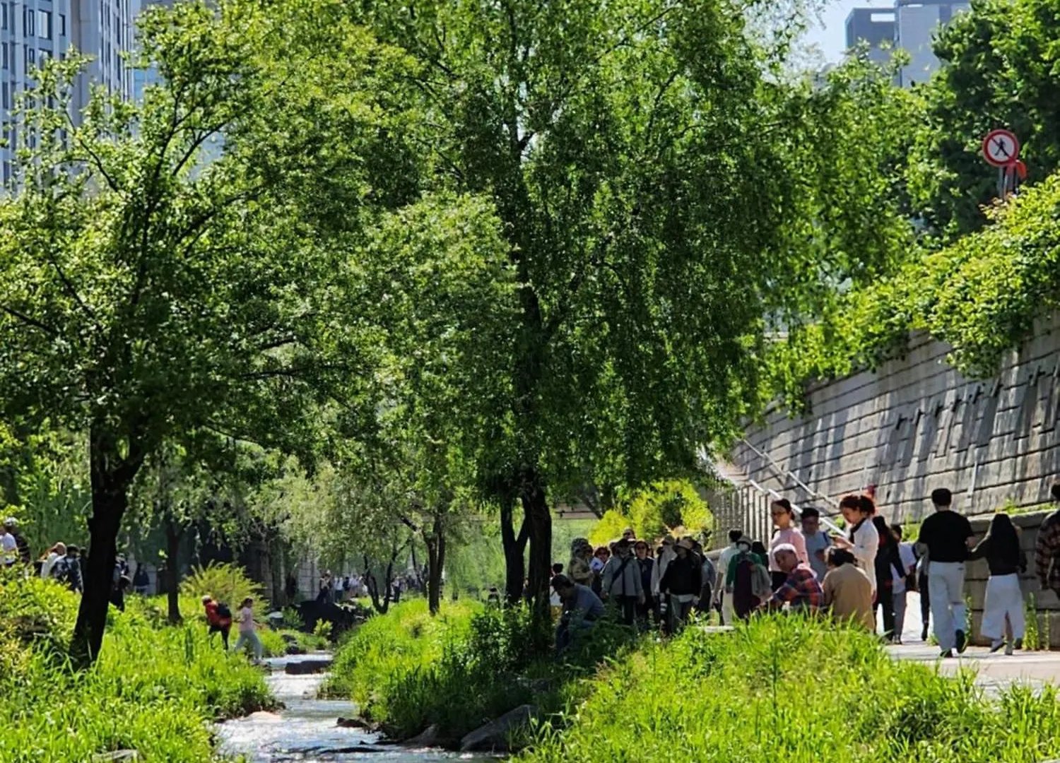Rosemary Villa Seoul South Korea